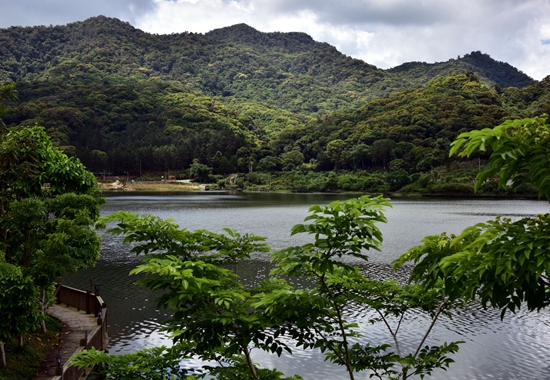 从卖木材到卖空气,海南养护“绿宝石”收获生态红利