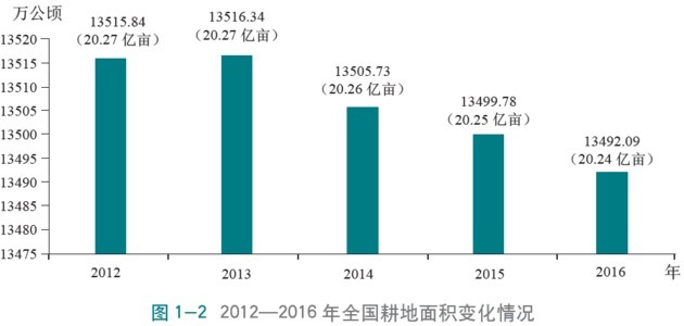 换言之,这13年间我国耕地数量减少的上限就是2亿亩,折合每年约1500万