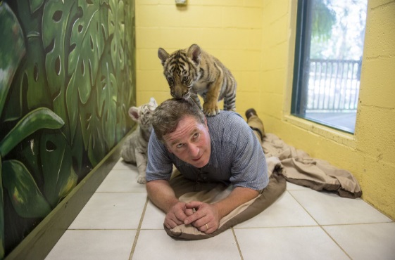 Joel Sartore（乔尔•萨尔托雷）