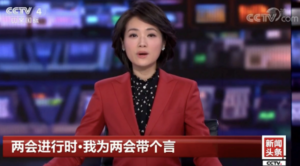 2019「全国两会」18位快手老铁上CCTV向代