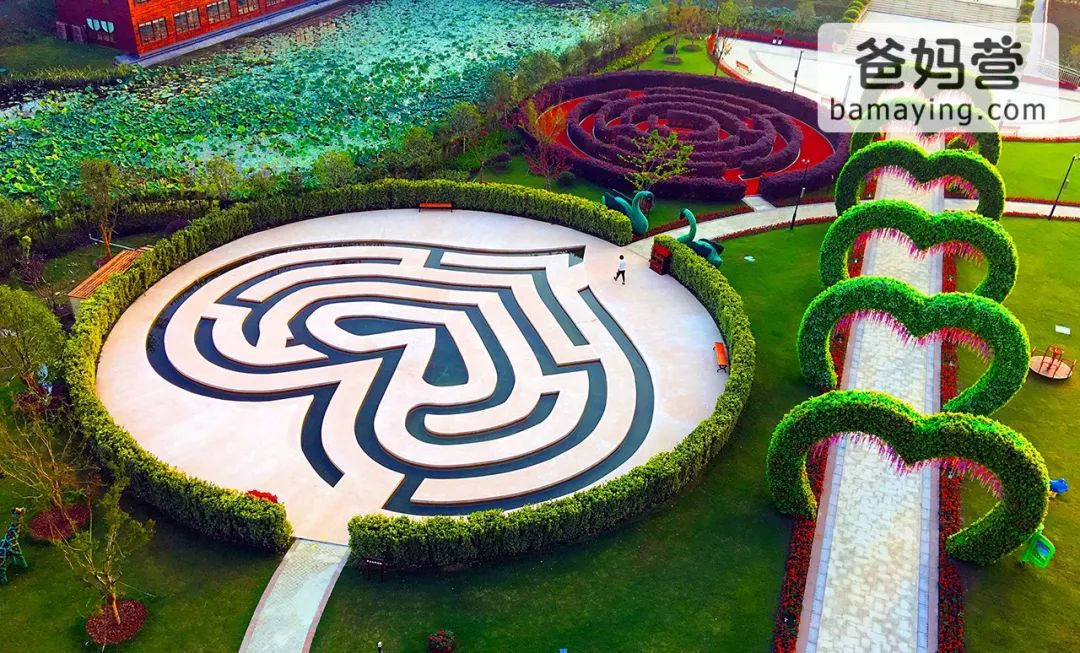 中国竟有 66万㎡ 迷宫乐园?!梦幻集装箱房，水上木屋!一天玩不够!