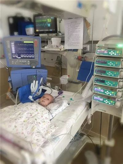 孩子出生便被送入ICU至今已68天,大连夫妻俩的选择让人...,爱情是个懒东西结局