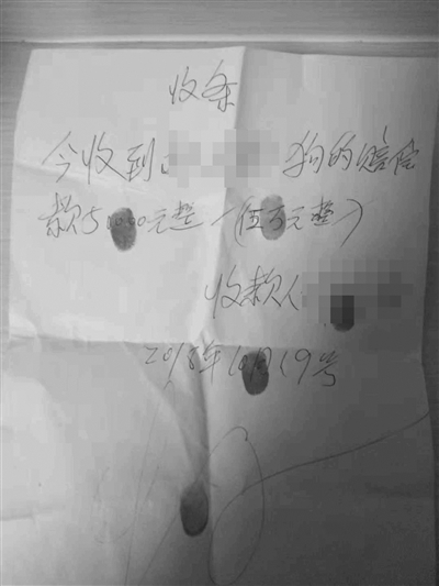 “捡”条狗,赔了5万还成窃案嫌疑人