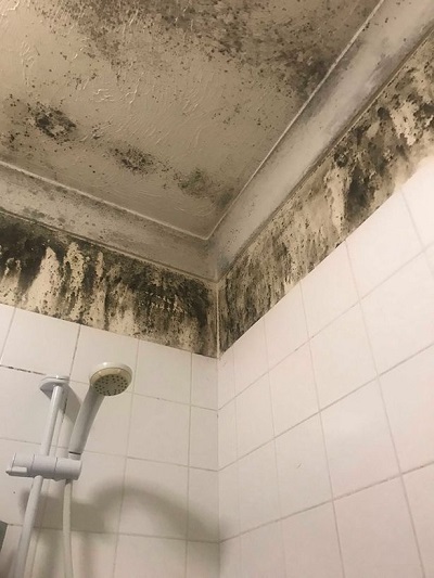 因在发霉公寓住了一年半 英女子患上哮喘和抑郁