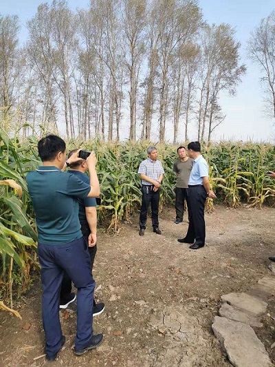 敢县人口查找_河南各县流入流出人口