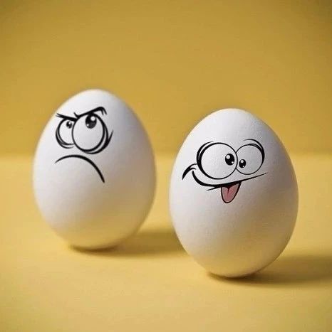 本田飞度的屁股，馅大皮薄，太不耐操！