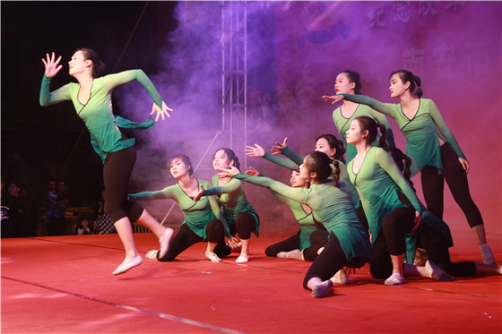 闽科承办南安市第十八届广场文化艺术节首场演出