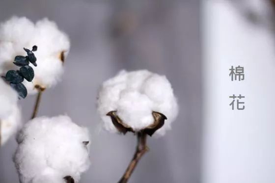 �޻����������ԭ�����