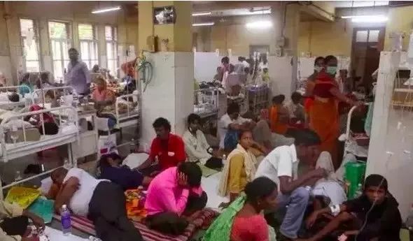 （图片来自网络）