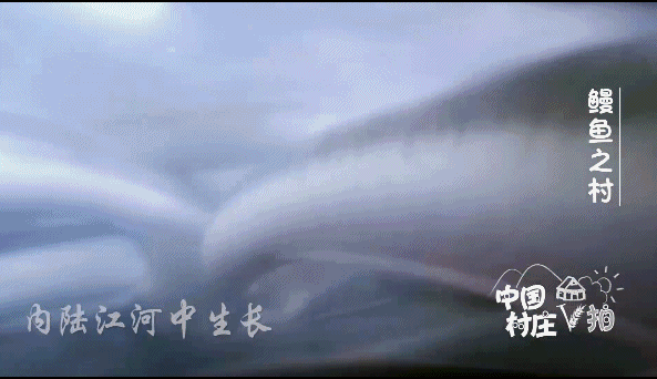 彩经网大乐透胆码推荐|80万股的增持诱惑 2600万股配合!股民:2018年第一刀割了2万多