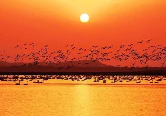 文化和旅游部正式挂牌，网友：诗和远方终于在一起了！