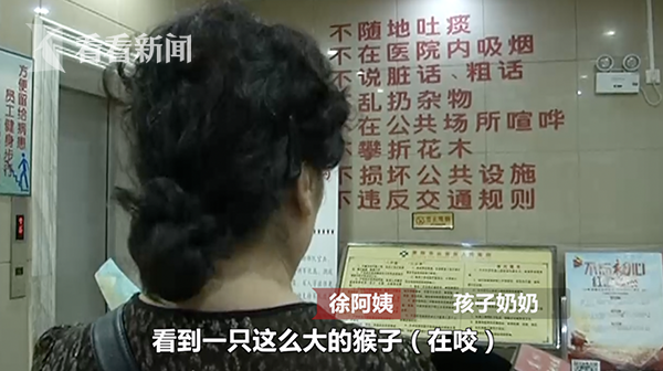 猴子突然窜进4楼居民家中 床上的宝宝惨被其狠咬