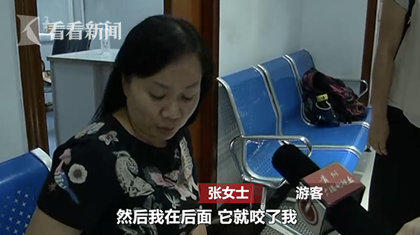 猴子突然窜进4楼居民家中 床上的宝宝惨被其狠咬