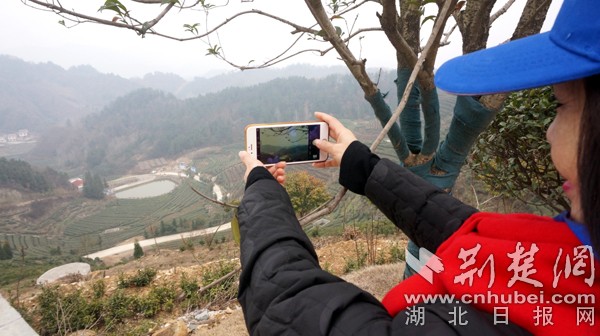 丹江口网友看乡镇见证水都发展 为乡村振兴聚