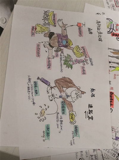 美女医生手绘动漫说病症 病人轻松看懂,还成为医学生教材