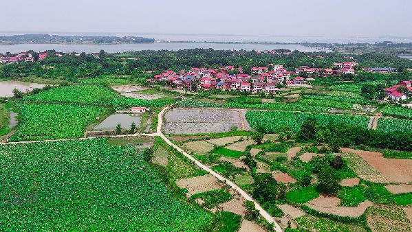 鄂州厉害了！将迎来1所重点大学+1条跨城地铁(图27)