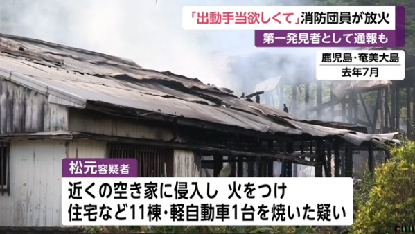 金博士·国际