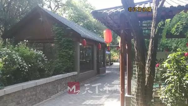 鱼翅皇宫、金鸡岭别墅违建啥时候拆?刚刚,这些