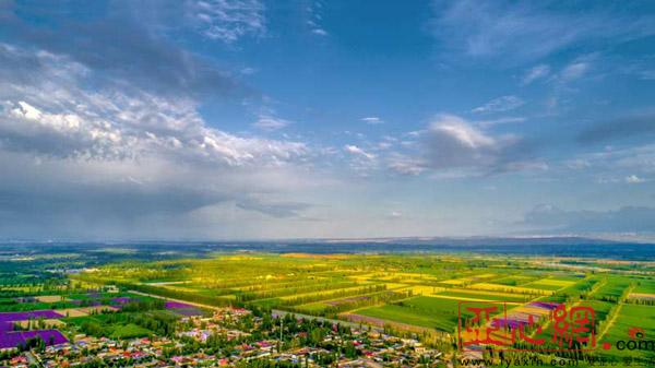 航拍新疆霍城县芦草沟熏衣草唯美浪漫景色 美