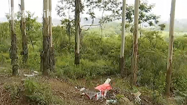 2b14403ef642211ce7b98bd82053feb4.png 尸体下葬后不翼而飞 家属拜五年空坟