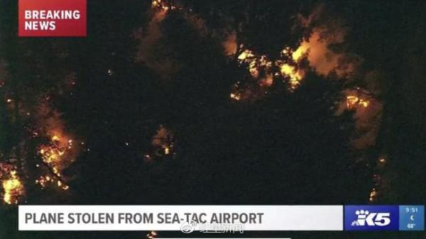 飞机坠毁现场可以看到大量浓烟