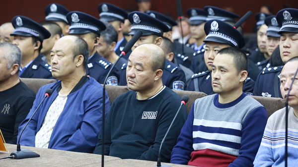 强龙娱乐场真人 小袋鼠带着宝宝回来看它的救命恩人