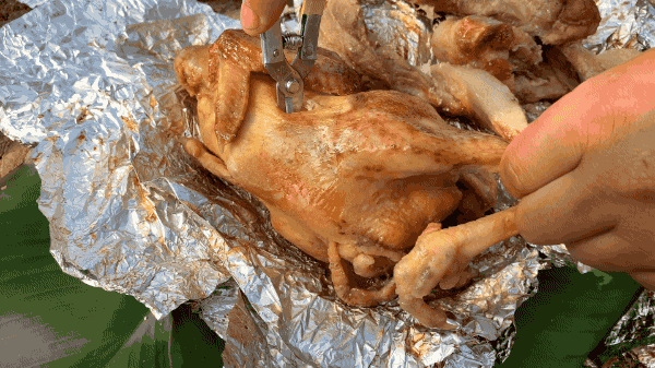 心动!北海一片50亩橘子熟啦!采摘、窑鸡烧烤、搓麻将....周末就这么过!