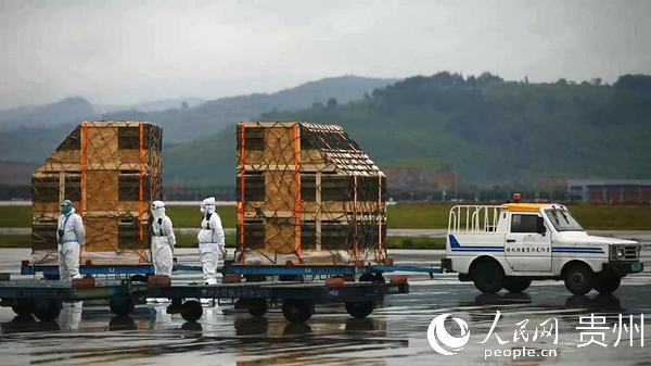 广顺镇人口_长顺县广顺镇图片(3)