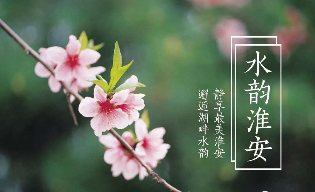 静享最美淮安 邂逅湖畔水韵