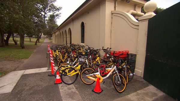 共享单车纷纷出走澳洲：“水土不服”还是另有隐情