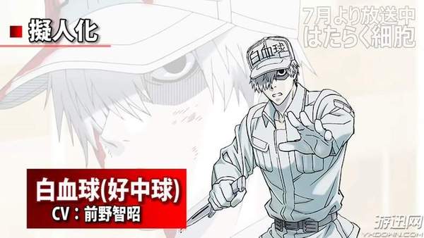 没有血小板的日子我要死了 《工作细胞》现实版公开