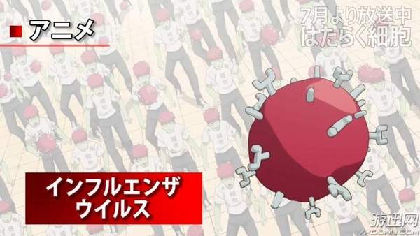 没有血小板的日子我要死了 《工作细胞》现实版公开