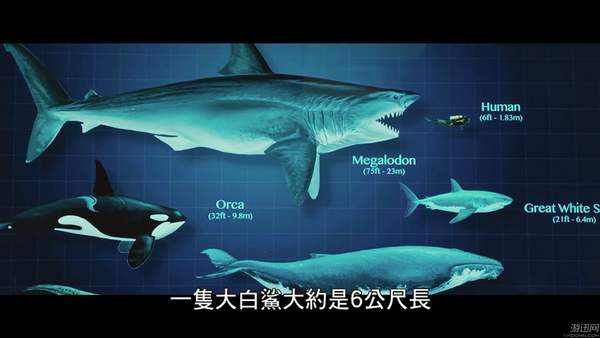 《巨齿鲨》中文幕后花絮曝光 李冰冰遭巨型章鱼怪围困