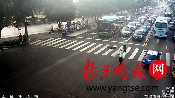 早高峰里藏獒来添堵 霸路方便还躺在路中央