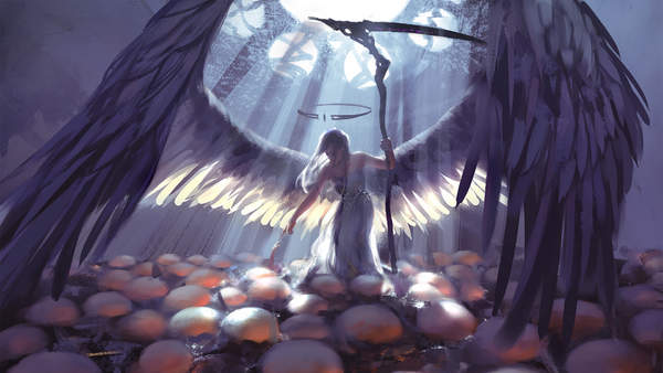 桤롿㲻òղصľƷֽϼ(250