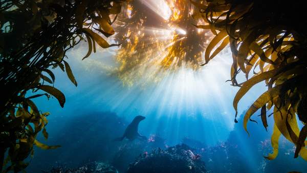 【真·无码】你不得不收藏的精品壁纸大合集!(252)