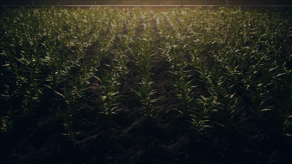 【真·无码】你不得不收藏的精品壁纸大合集!(253)