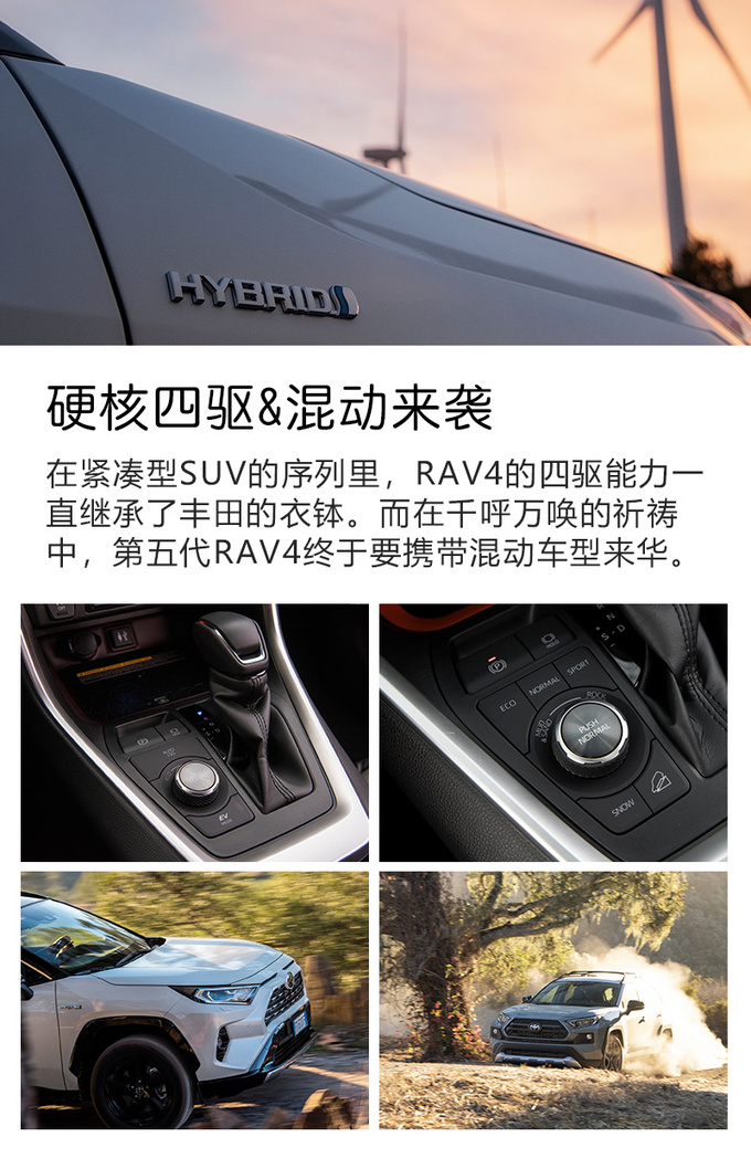 别听销售忽悠你过年买新车 2019年真正的好车都在这里