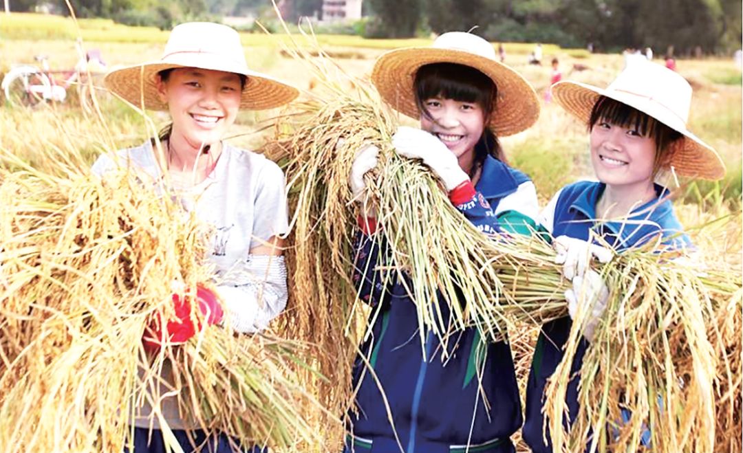 各高中最新一手情报!2018南海中考报考指南,收