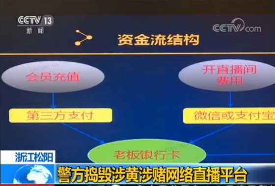 浙江松阳警方捣毁涉黄涉赌网络直播平台