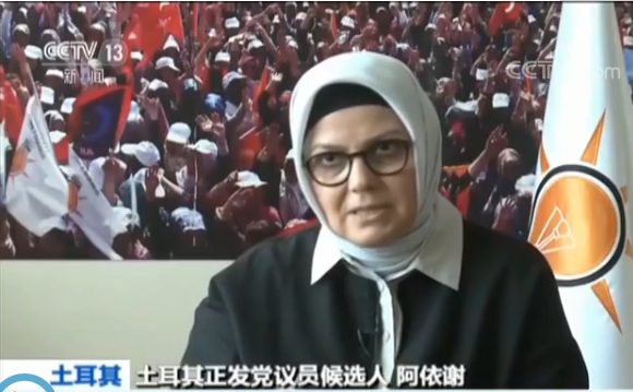 土耳其议会选举:女性逐渐成为不可或缺的一支力量