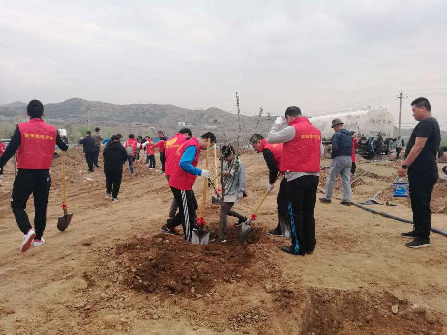 呼和浩特碧桂园绿动青城 悦享美好植树活动