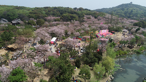 9月10日起,无锡鼋头渚景区门票将从105元降为