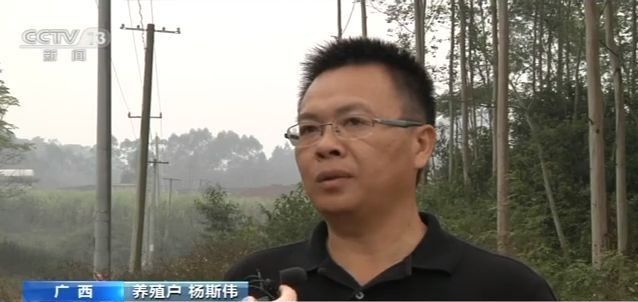 宝记娱乐场消费-熊猫金控被上交所问询:是否涉嫌向实控人输送利益?