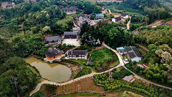 以宅基地改革确立乡村振兴的空间布局(下)