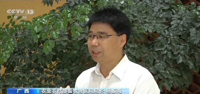 韩国赌场娱乐场攻略 - 宜宾曾经“川南最大”的火力电厂要拆了...