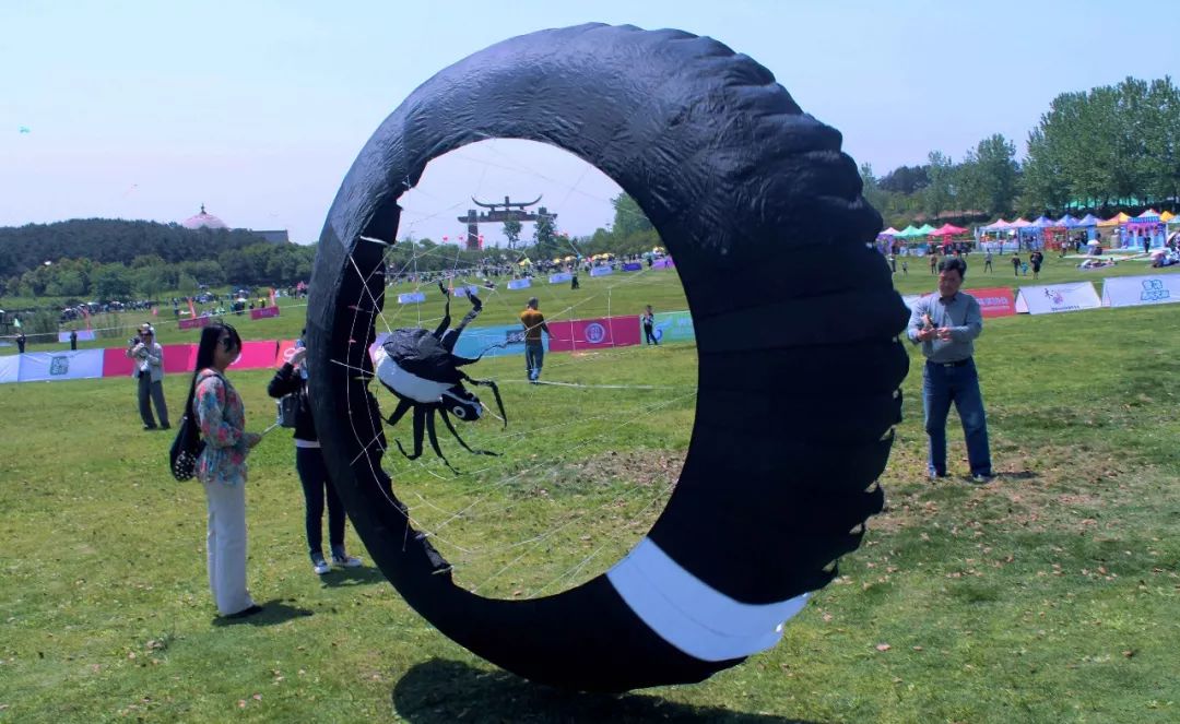 兩萬(wàn)多人都在抬頭看啥？花鳥(niǎo)魚(yú)蟲(chóng)都“飛”上了武漢的天(圖14)