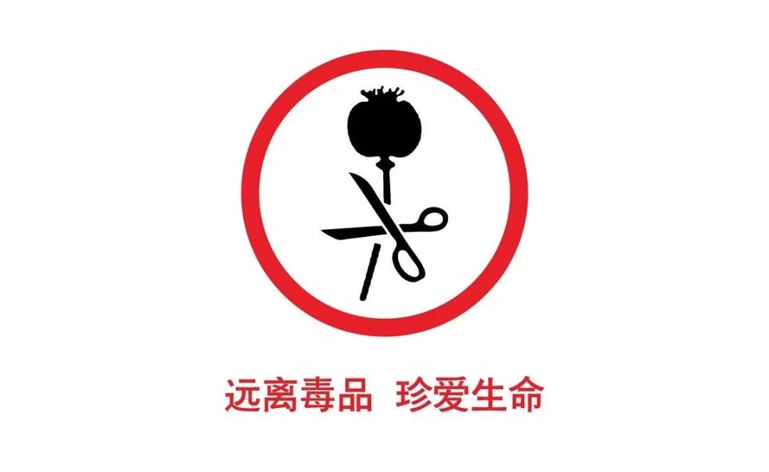 禁毒 | 626国际禁毒日,我们想对你说…