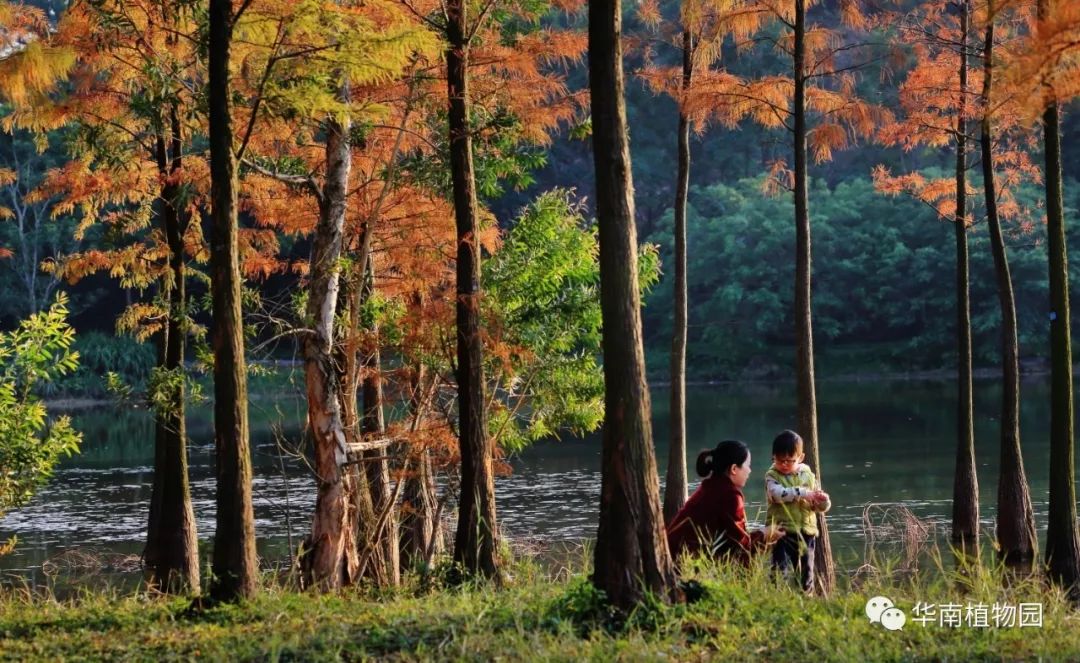 美爆了！1月的广州竟是这样的……128G内存都不够拍！