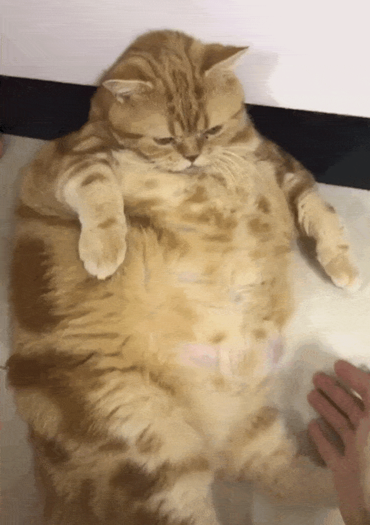 小姐姐，我想喝你的咖啡，加奶的那种